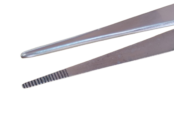 01067d-removebg-preview 01067d-removebg-preview